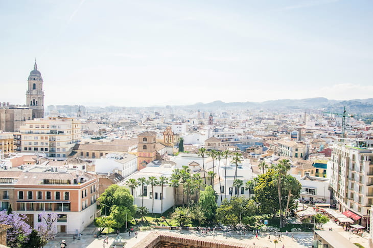 experto seo sem freelance malaga