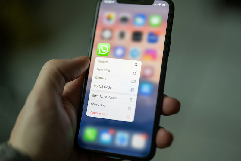 vender en whatsapp business